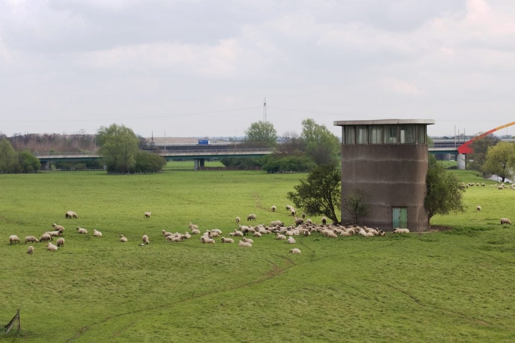 Schafe auf einer großen grünen Wiese, rechts darauf ein rundes Gebäude, im Hintergrund eine Autobahn